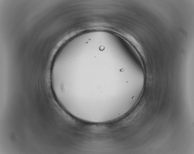 X0000114201384200911061415