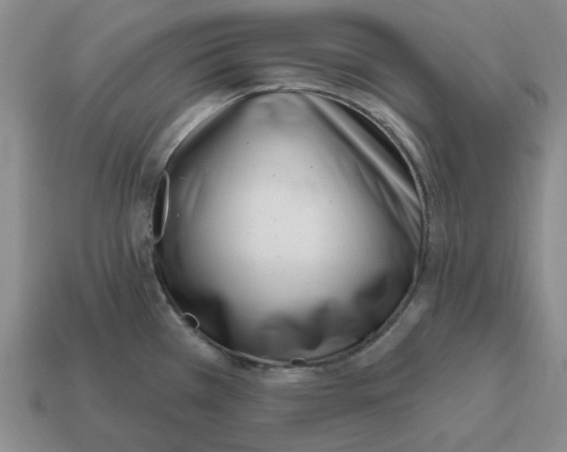 X0000114201385200911061415