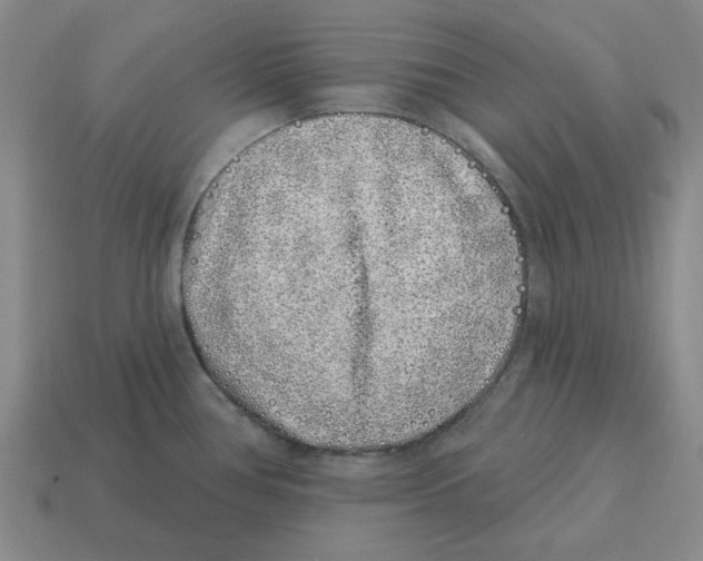 X0000114201386200911061415