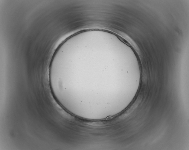 X0000114201388200911061415