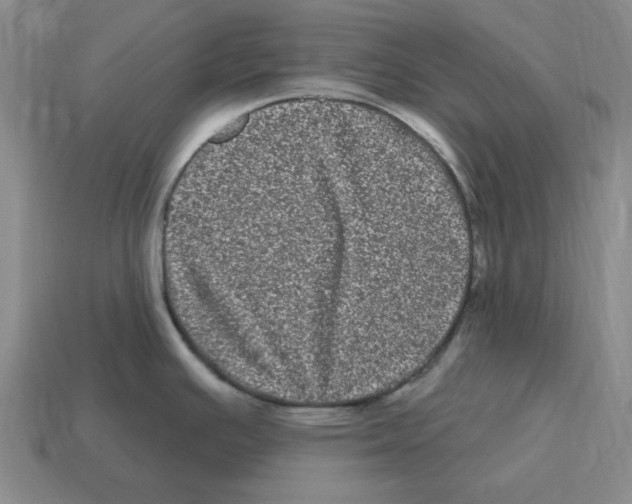 X0000114201391200911061415