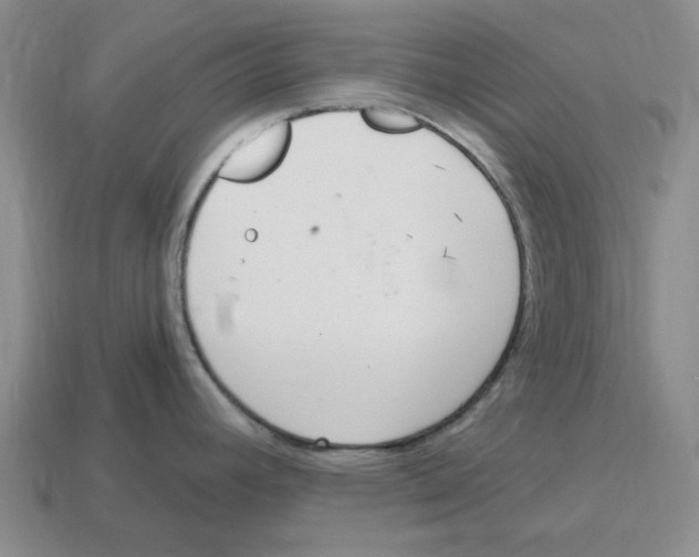 X0000114201392200911061415