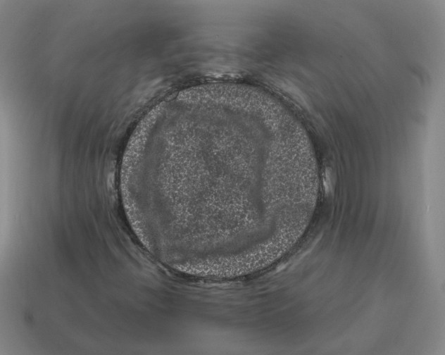 X0000114201396200911061414