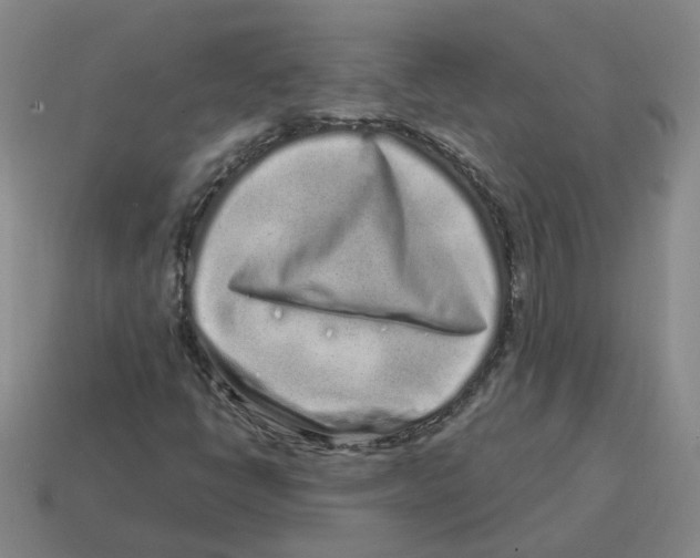 X0000114201398200911061414