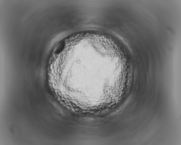 X0000114201405200911061414