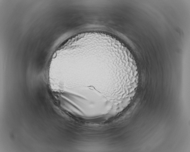 X0000114201413200911061414