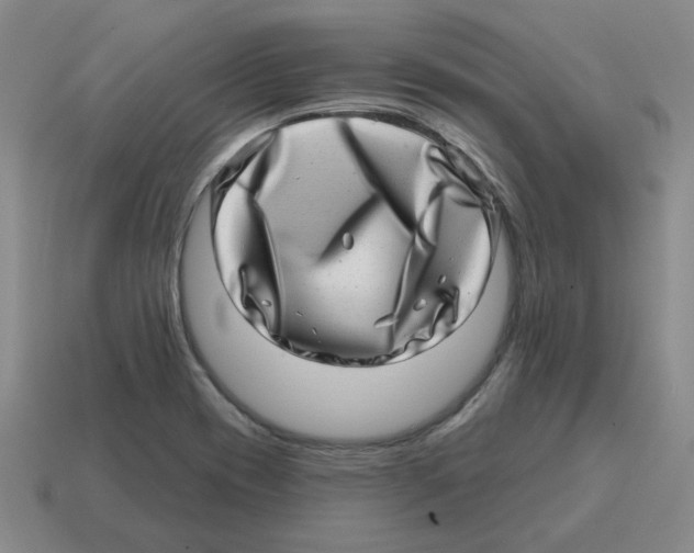 X0000114201417200911061414