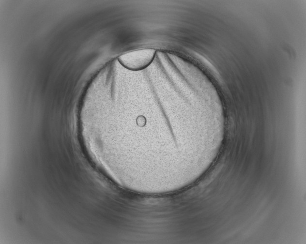 X0000114201419200911061415