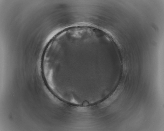 X0000114201422200911061415