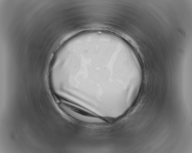 X0000114201429200911061415