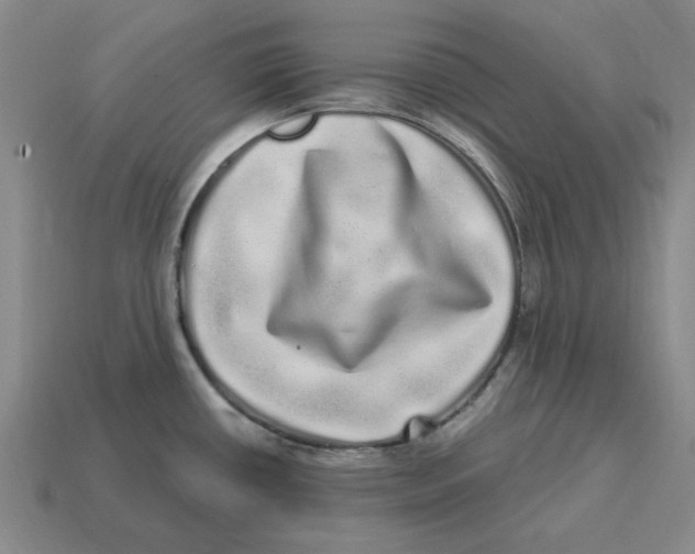 X0000114201434200911061415