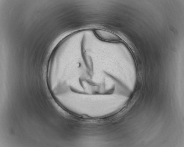 X0000114201438200911061415