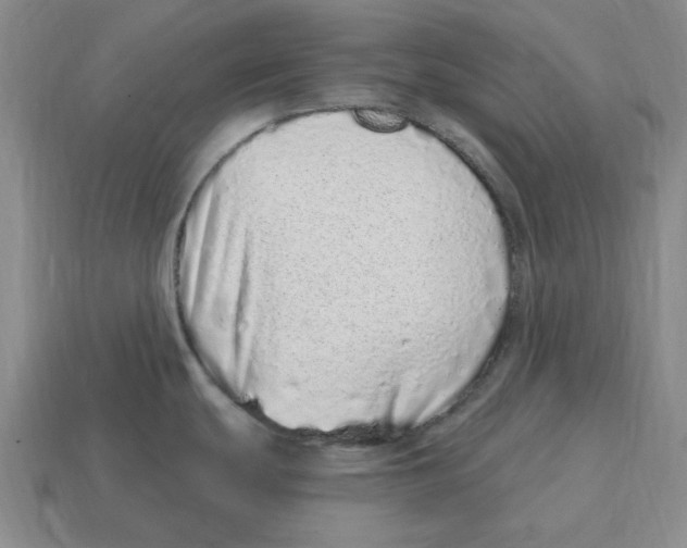 X0000114201439200911061415