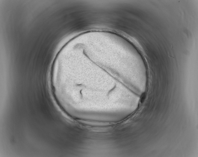 X0000114201440200911061415