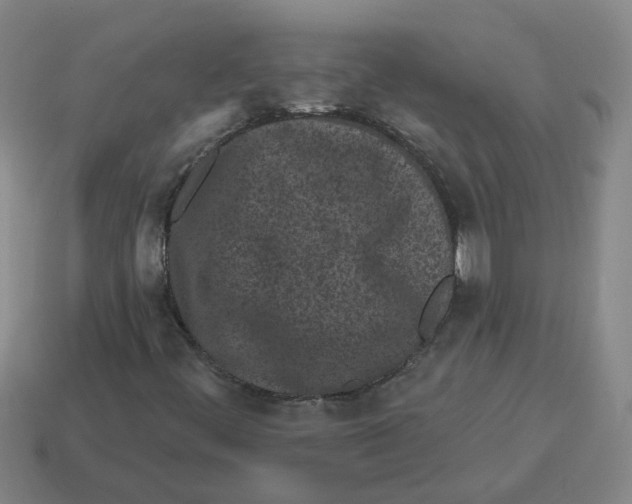 X0000114201444200911061414