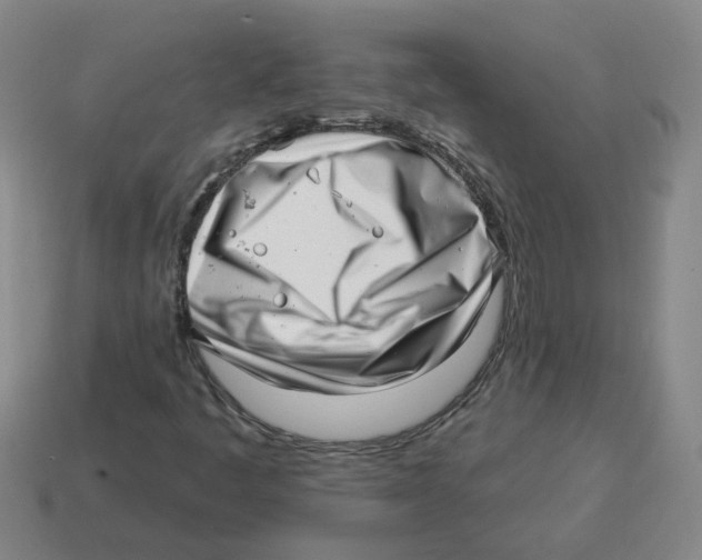 X0000114201445200911061414