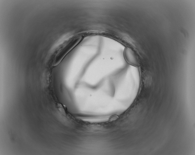 X0000114201448200911061414