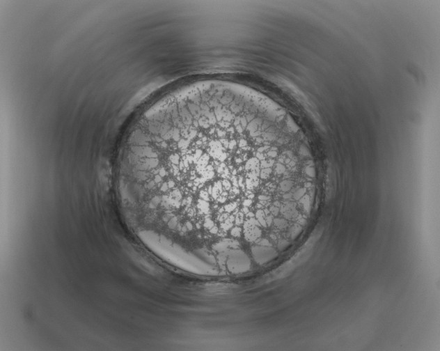 X0000114201449200911061414