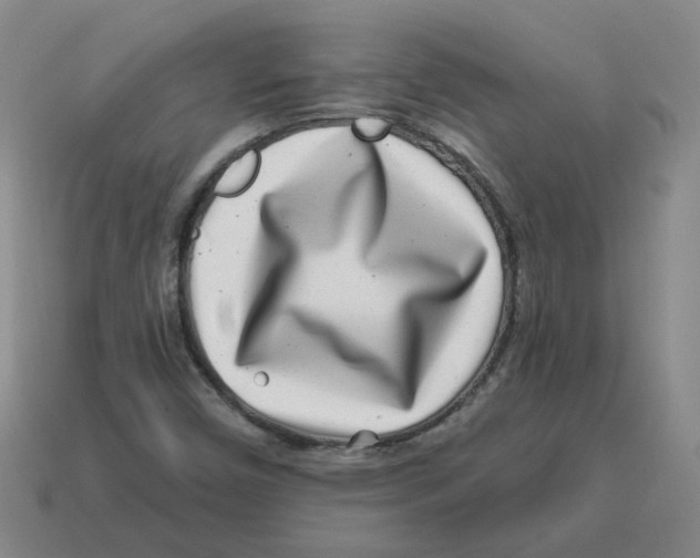 X0000114201450200911061414