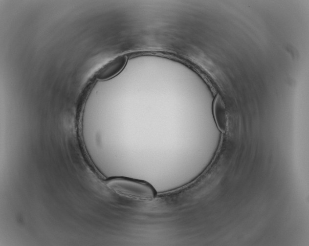 X0000114201452200911061414