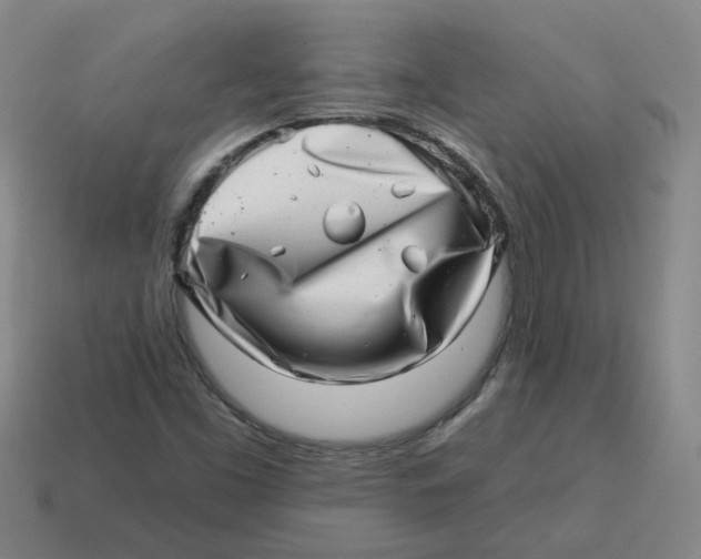 X0000114201453200911061414