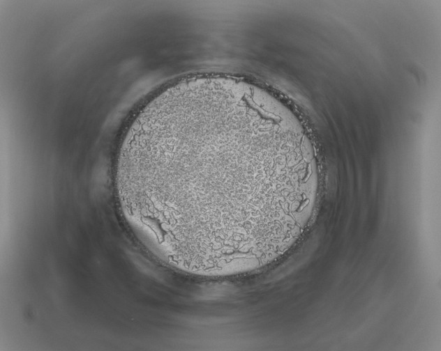 X0000114201454200911061414