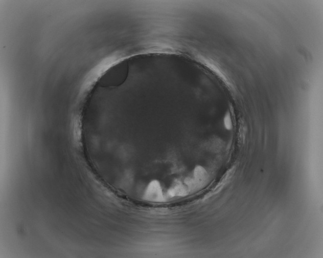 X0000114201455200911061414