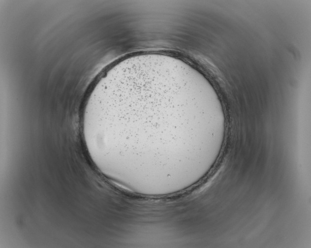 X0000114201457200911061414