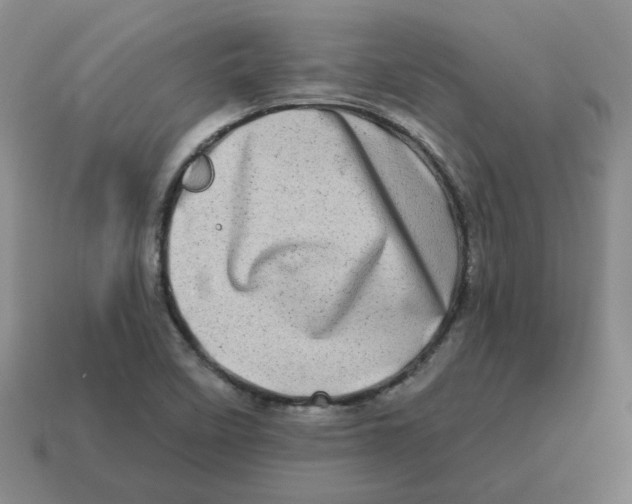 X0000114201458200911061414