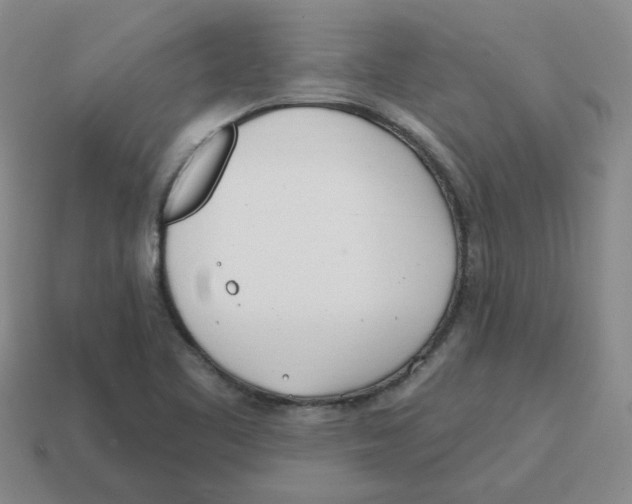 X0000114201461200911061414