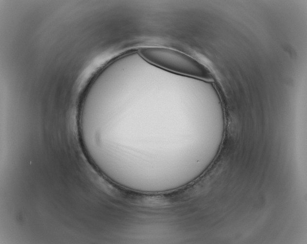 X0000114201464200911061414