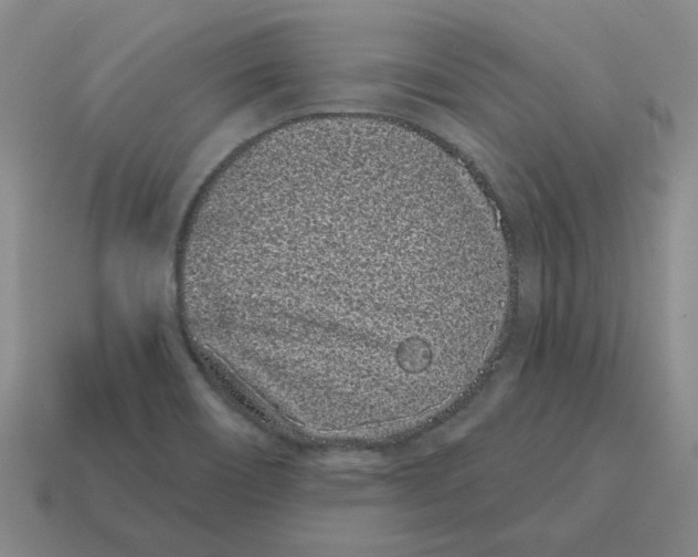 X0000114201466200911061414