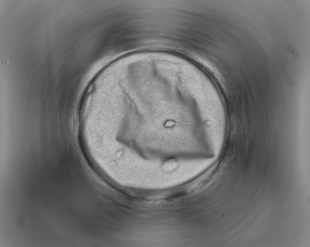 X0000114201467200911061414