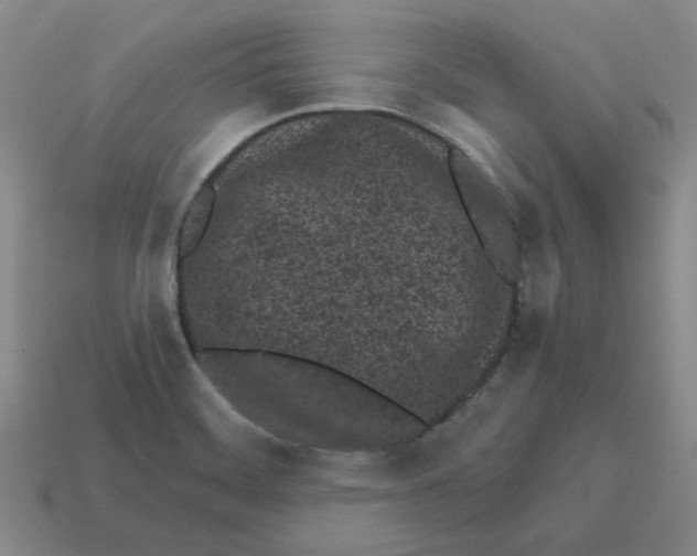 X0000114201468200911061414