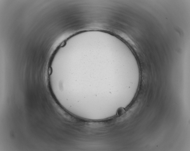 X0000114201469200911061414