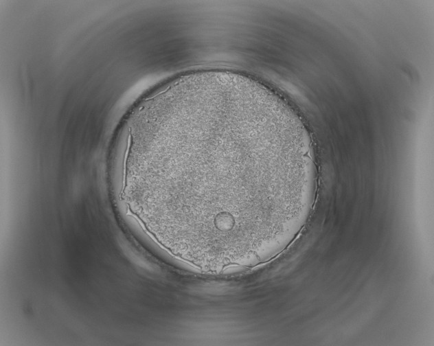 X0000114201470200911061414