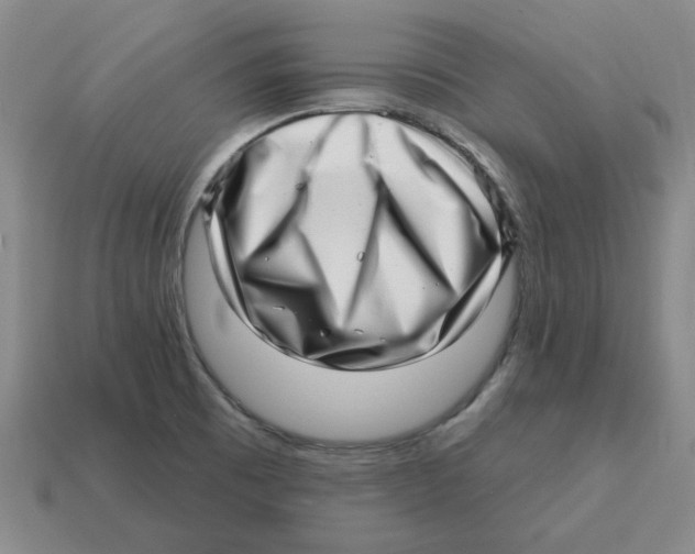 X0000114201473200911061414