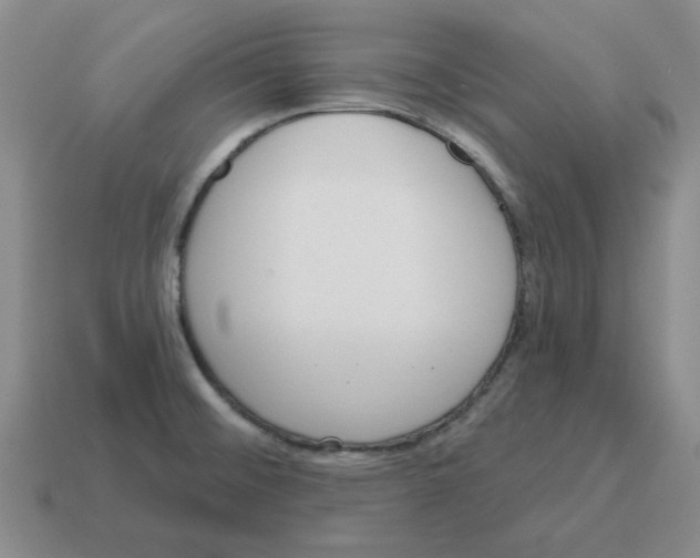 X0000114201476200911061414