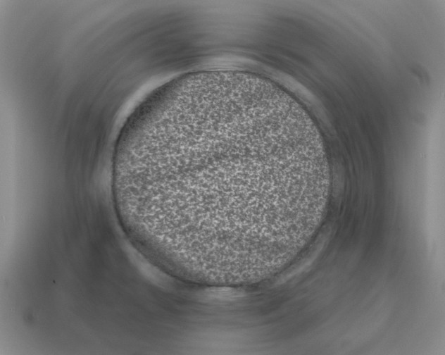 X0000114201478200911061414