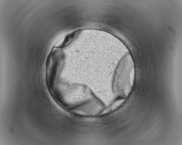 X0000114201479200911061414