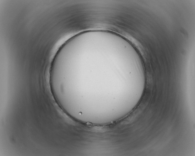 X0000114201480200911061414