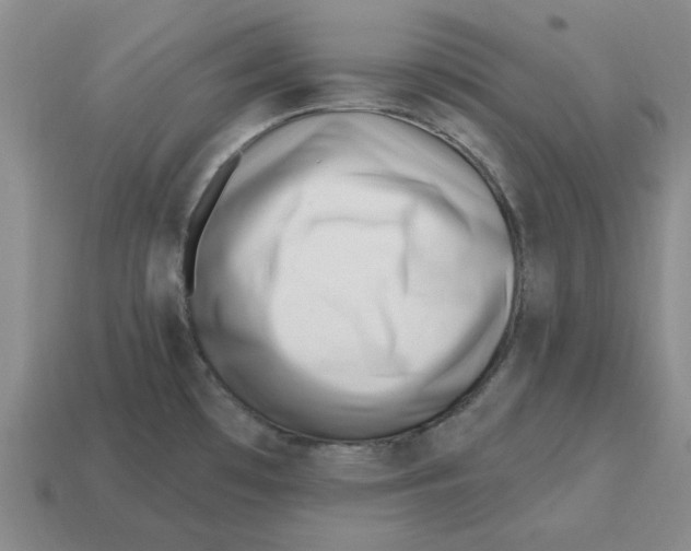 X0000114201481200911061414