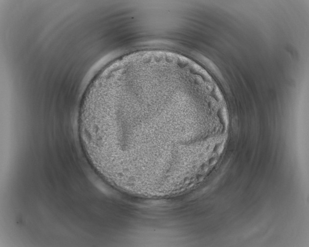 X0000114201482200911061414