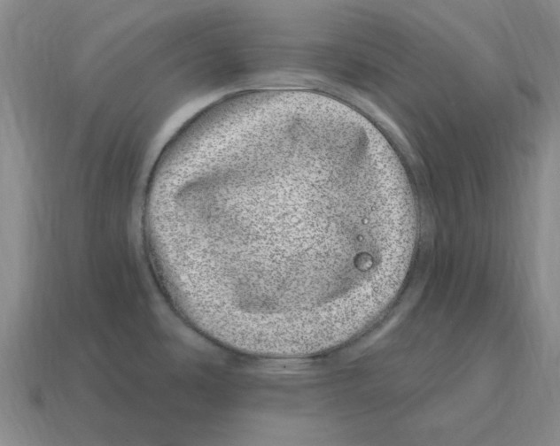 X0000114201486200911061414