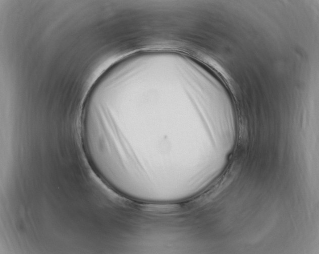 X0000114201487200911061414