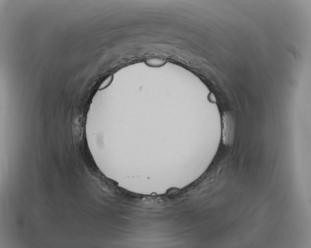 X0000114201491200911061413