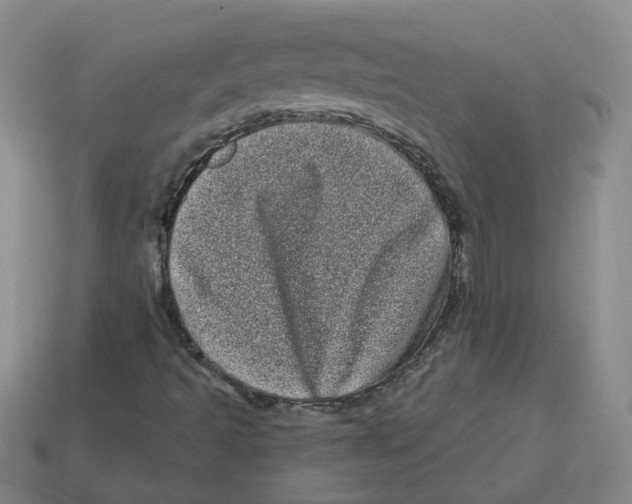 X0000114201493200911061413