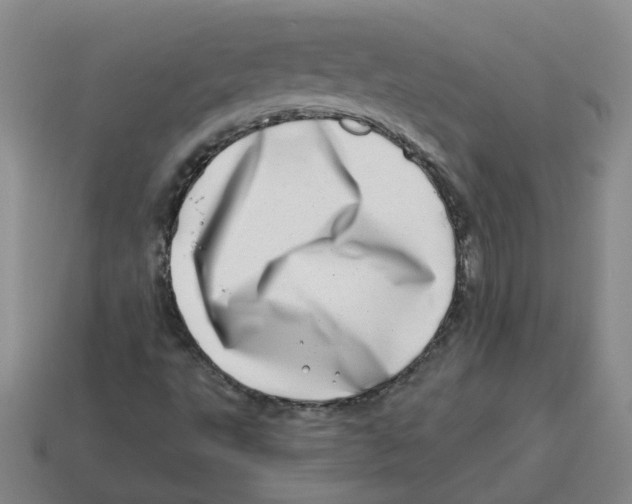 X0000114201495200911061413