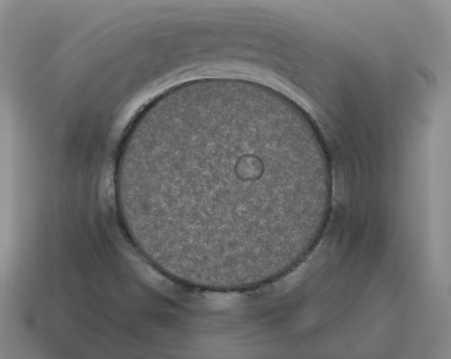 X0000114201498200911061413