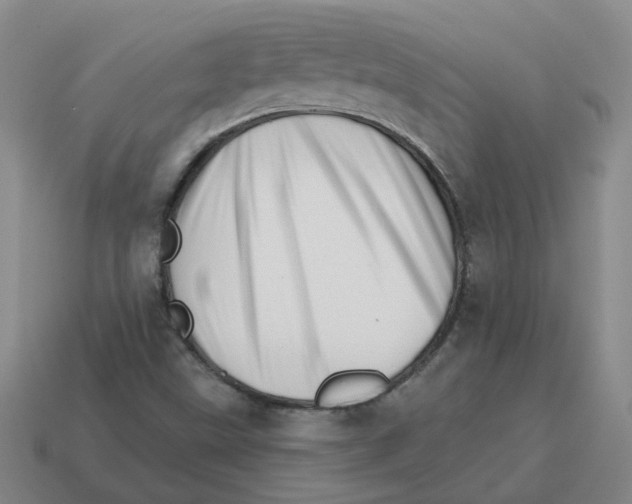 X0000114201499200911061413